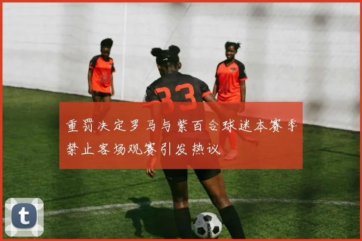 重罚决定罗马与紫百合球迷本赛季禁止客场观赛引发热议