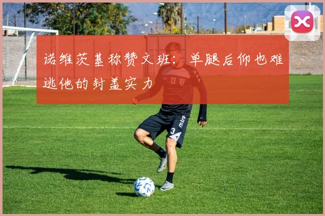 诺维茨基称赞文班：单腿后仰也难逃他的封盖实力