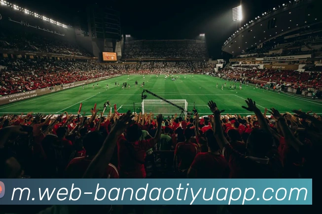 半岛体育APP 高清赛事图